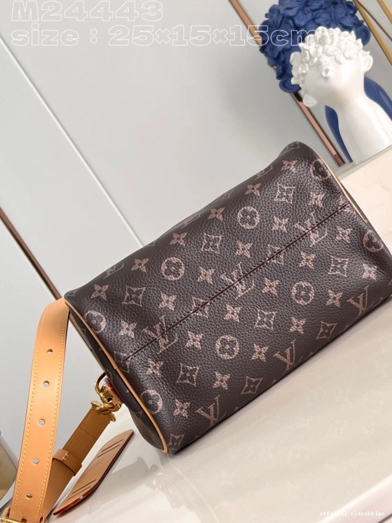 Official oldcobbler SPEEDY Louis Vuitton 25 0815